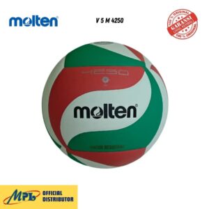 BOLA VOLLY MOLTEN V 5 M 4250